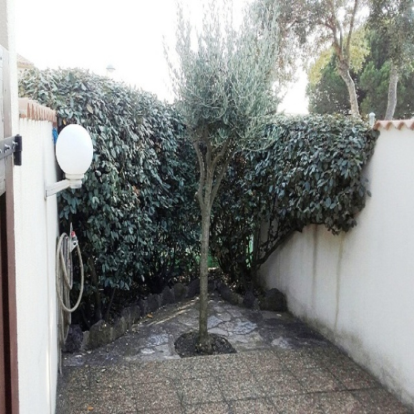 Offres de vente Maison le cap d agde 34300
